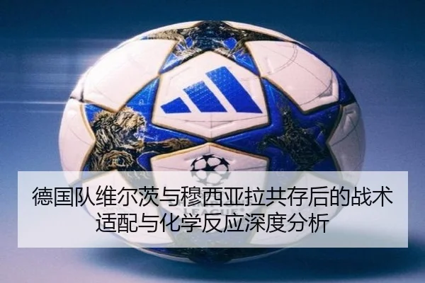 德国队维尔茨与穆西亚拉共存后的战术适配与化学反应深度分析
